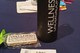 I attended and presented at the 2016 Wellness Underground Workshop